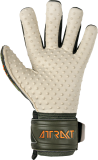 Reusch Attrakt SpeedBump 5370039 5556 green grey back